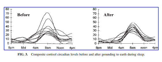 Cortisol 2.png