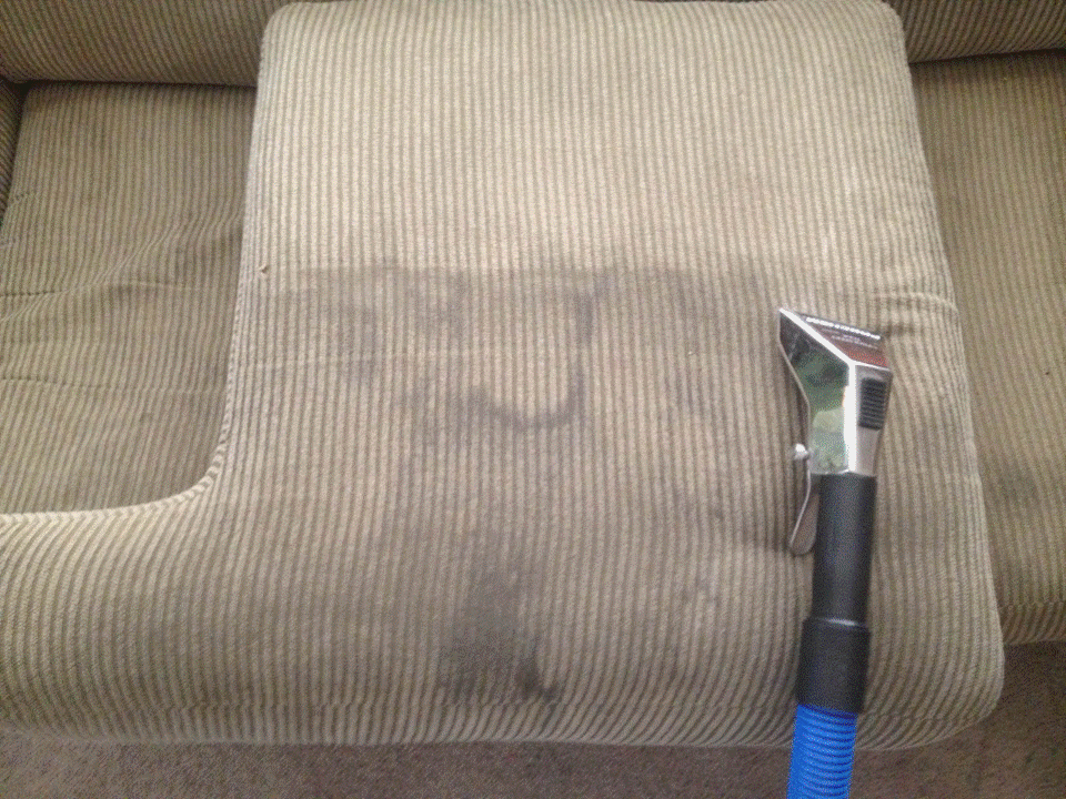 Couch Cleaning