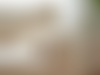 Upholstery Cleaning Services Explained