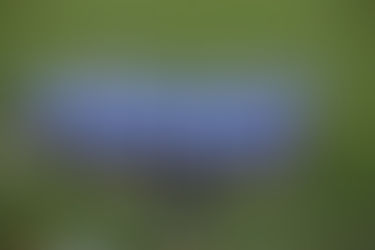 Lovett 'leans on defense' for win over Westminster and area title