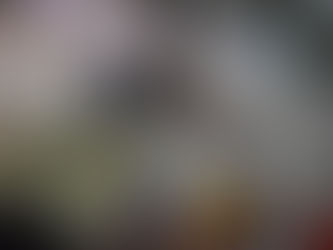 Newton Remains Georgia's Top Team, Cruises To 75-44 Win Over Archer In Final Regular Season Game