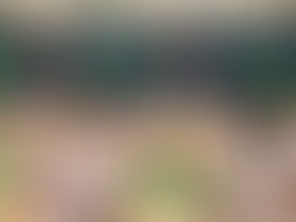 Harrison bringing 'the standard everyday' in preparation for 2026 season