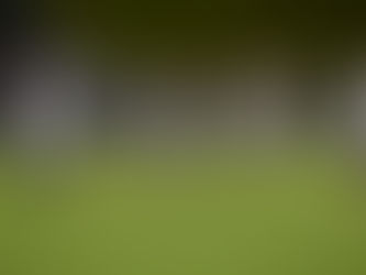 Dominant Defense Propels Hawks To 4-0 Start As Hillgrove Defeats Etowah 35-3