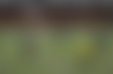 Trey Cline header lifts Campbell to key region win over Pebblebrook