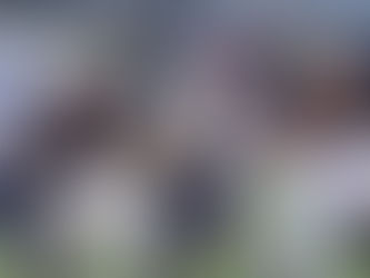 Salem, Southwest Dekalb Give Us Glimpse Of What To Expect In 2017 Season