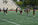 Arabia Mountain, Chamblee have strong outings in Dekalb County flag football jamboree