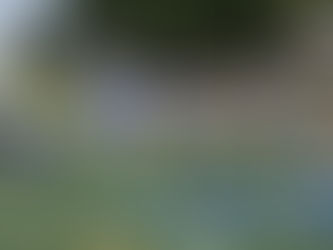 PSN Preview Spotlight: Washington Bulldogs For B.E.S.T. Academy