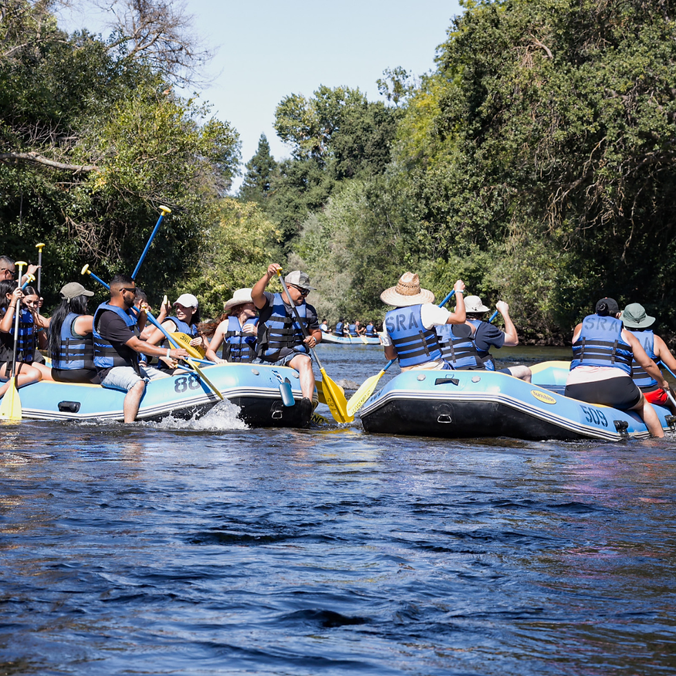 Simply Summer: Your Ultimate Guide to an Oakdale Getaway