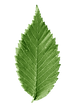 20b.png