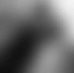 Lisa + Christopher Shangri-La Wedding