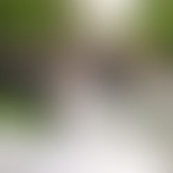 Graydon Hall Manor Wedding Ceremony｜A Classic Garden Venue in Toronto