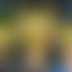 NFL Preseason Predictions and Best Bets WK1