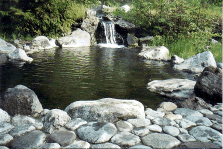 Meager Creek Hot Springs