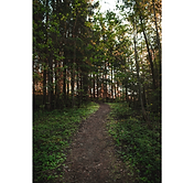 LAKEVIEW MOTEL/RESORT