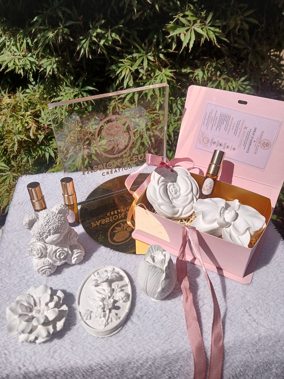 Coffret senteur intérieur et voiture avec suspension en plâtre parfumée et diffuseur artisanal.