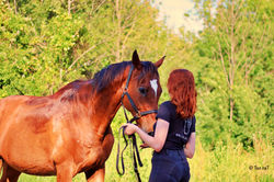 27 mai 2020 - Clémentine et Colivat