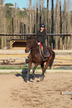 7 mars 2020 - Clémentine et Tallio