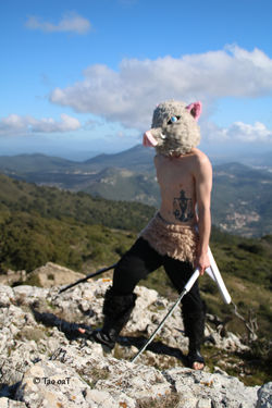 15 février 2020 - Pierre