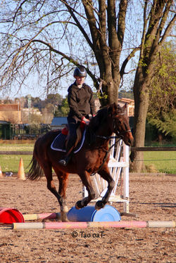 7 mars 2020 - Clémentine et Tallio