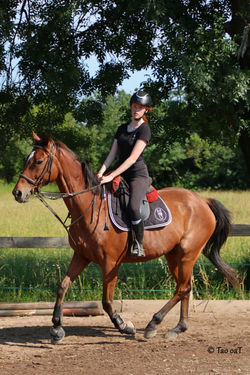 27 mai 2020 - Clémentine et Colivat