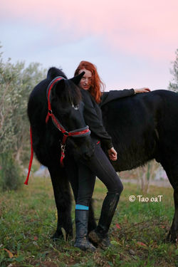 18 janvier 2020 - Clémentine et Totem