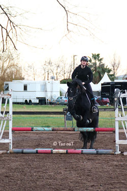 18 janvier 2020 - Clémentine et Totem