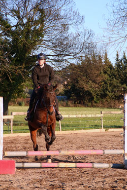 7 mars 2020 - Clémentine et Tallio