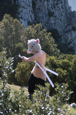 15 février 2020 - Pierre