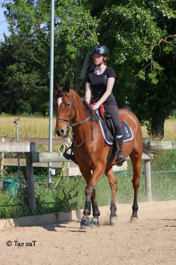 27 mai 2020 - Clémentine et Colivat