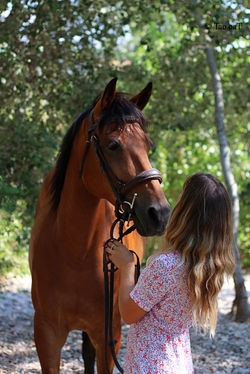 17 août 2020 - Aurore et Azur