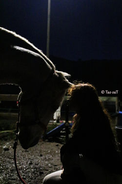 7 décembre 2019 - Clémentine et Cali