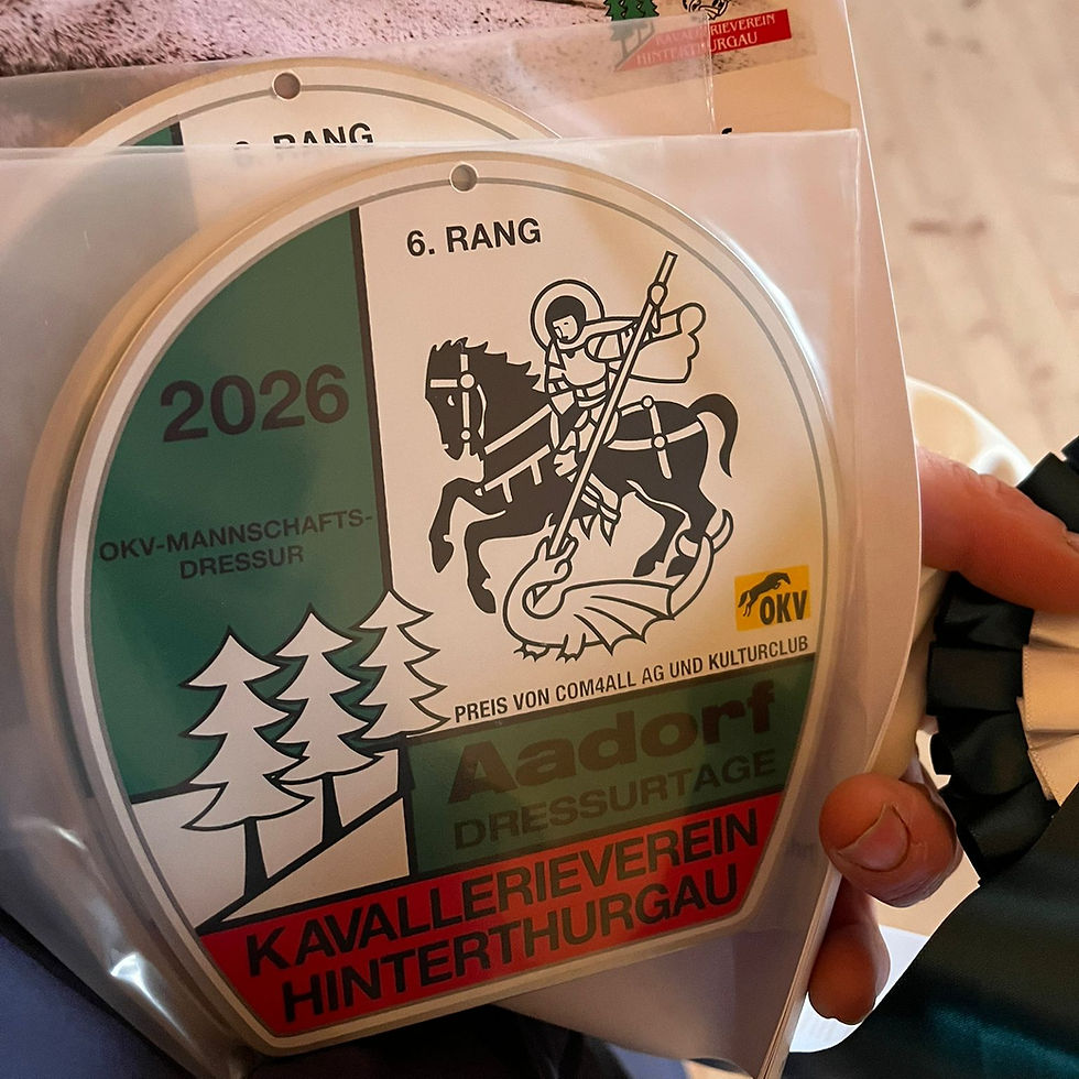 OKV Mannschaftsdressur - qualifiziert für den Final