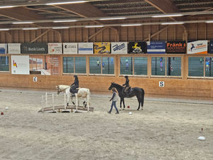 Working Equitation Kurs
