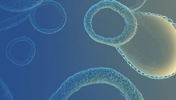 ai graphic with gradient_edited.jpg