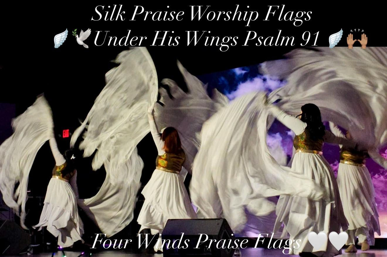 Silk Flags: Under His Wings