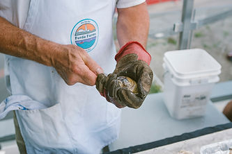 saltwaterclassroom_mf_08262021-19.jpg