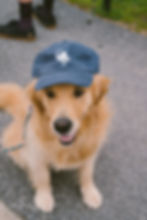 Thumbnail: SC Baseball Hat