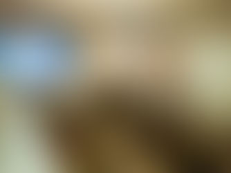 PALANGOJE – BAIGIAMASIS PROJEKTO „KULTŪROS GALIA“ FORUMAS : KULTŪROS CENTRAI APIE SĄMONINGUMĄ, PILIETIŠKUMĄ IR VISUOMENĖS ATSPARUMĄ