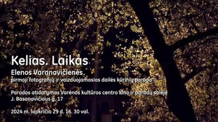 Paroda keičia parodą 