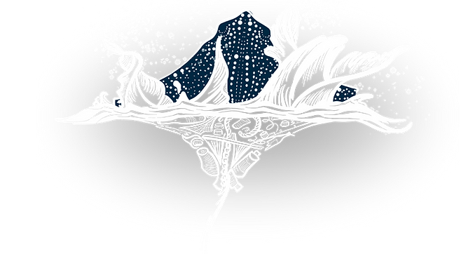 Untitled design-2.png