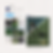 cohesive social media posts