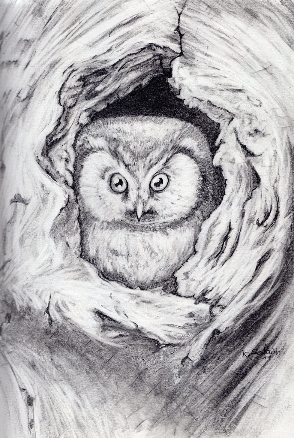 dessin005.jpg