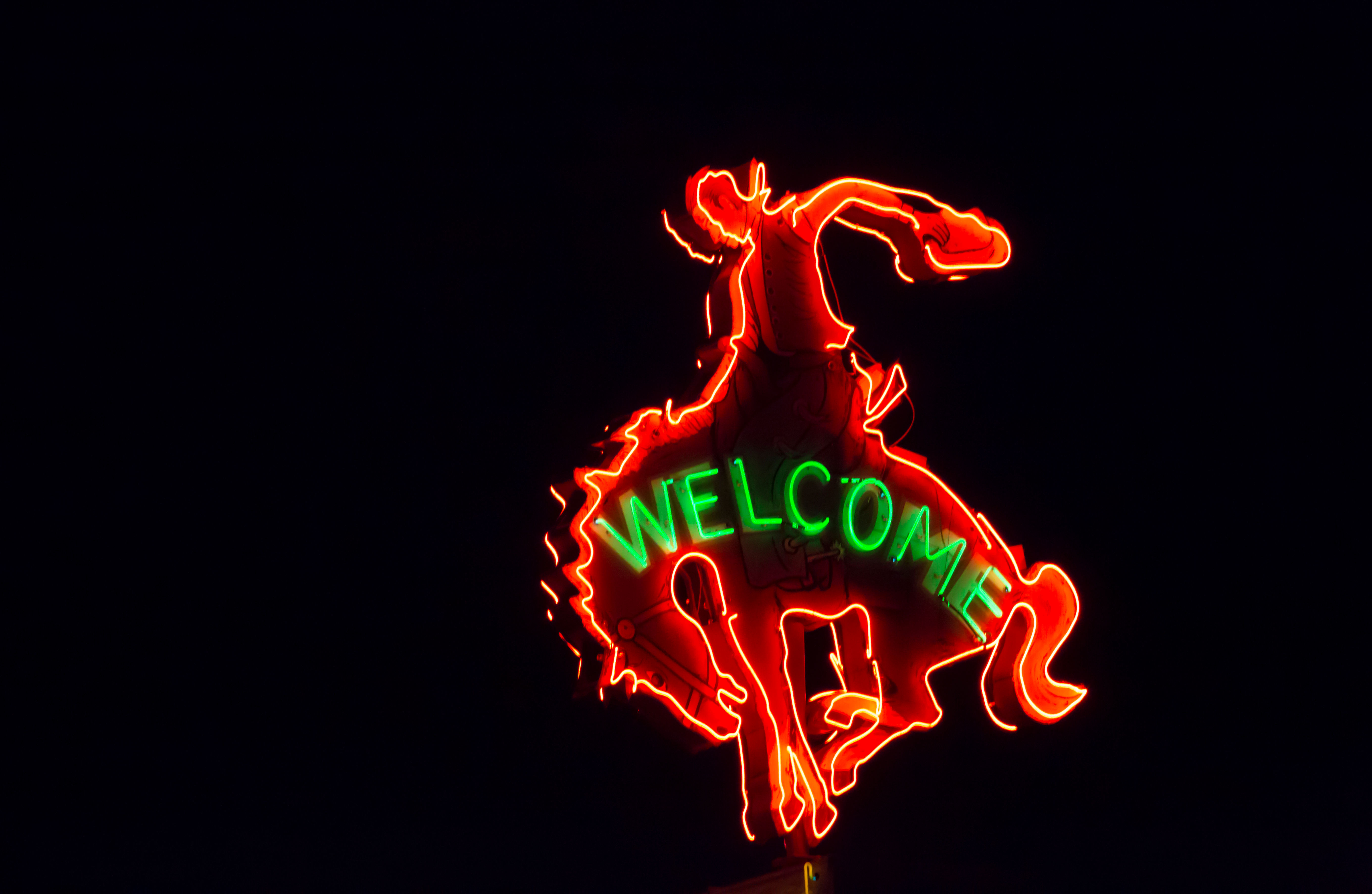Cowboy Bar Neon Metal Print