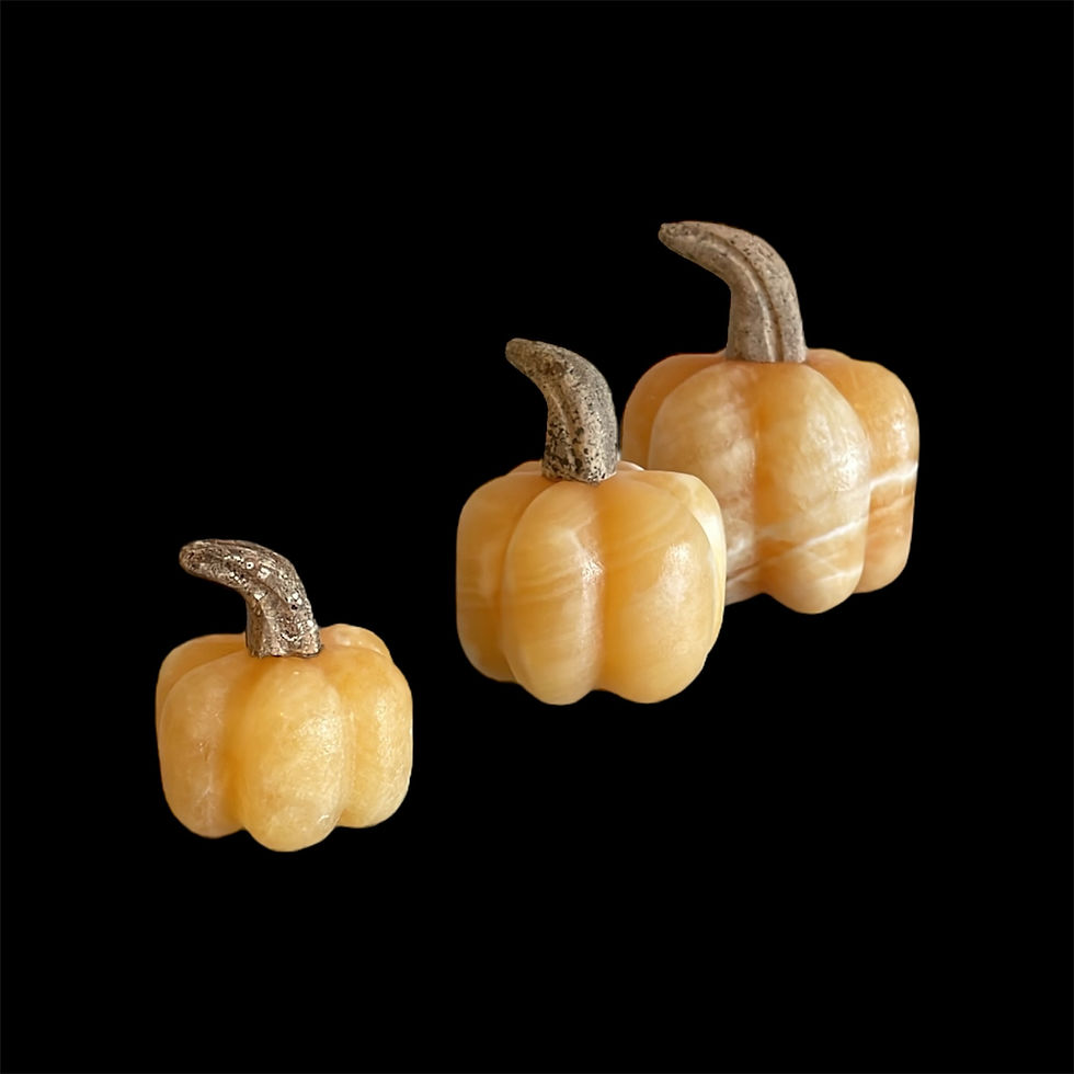 Miniatura: Set de calabazas redondas