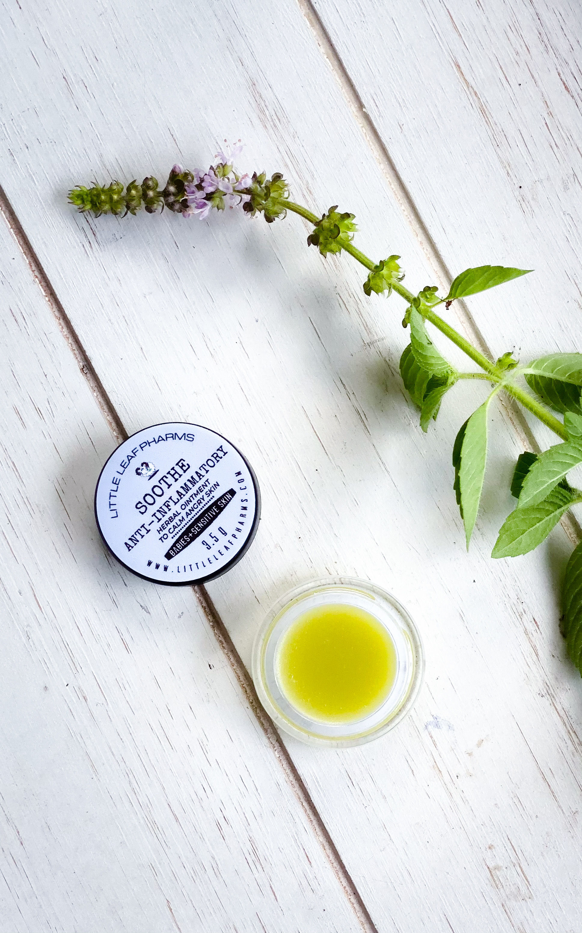 Soothe Anti-Inflammatory Herbal Ointment