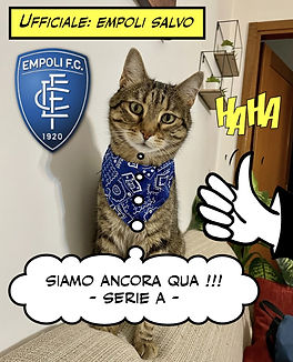 Siamo Salvi.jpg