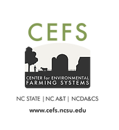 CEFS_Logo_2023-01 (1).png