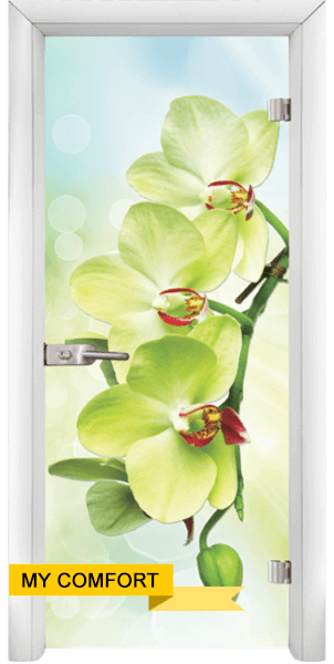 Thumbnail: Glass interior door, Print G 13-3, Wenge frame