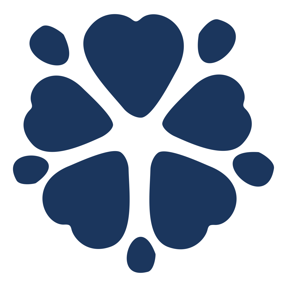 Foto do escritor: Redação Ayamed