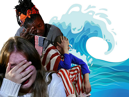 Midterm voters hoping for a 'Blue Wave' should brace for a wipeout.